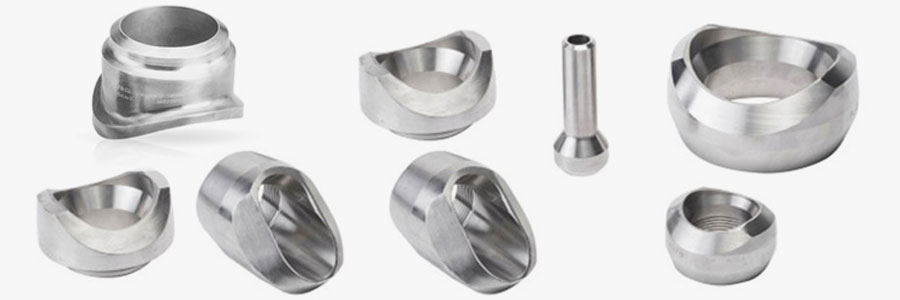Stainless Steel 304L Olets