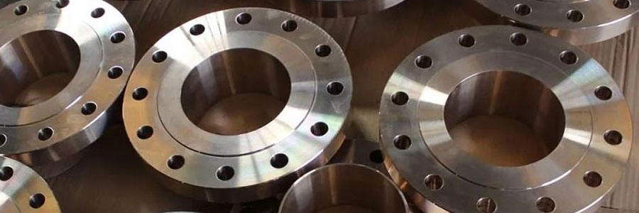 Hastelloy C22 Flanges