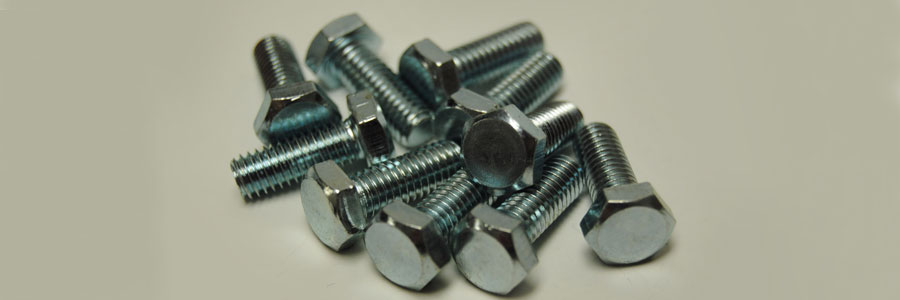 SS Fasteners