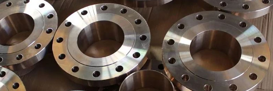 Stainless Steel 304L Flanges