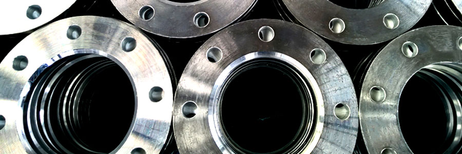 Stainless Steel 317L Flanges