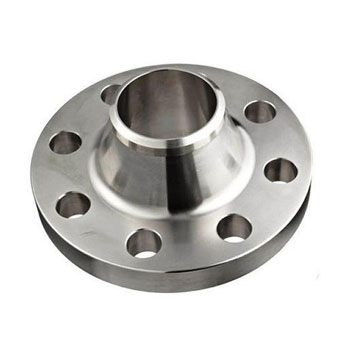 SS 304L Weld Neck Flanges